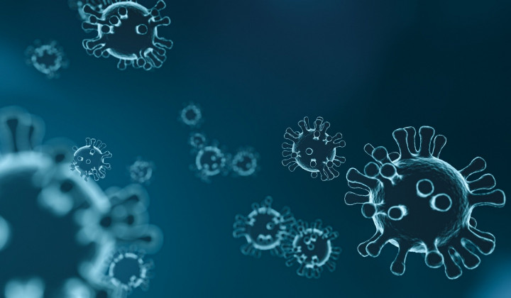 Koronavirus V Sloveniji Delo Koronavirus V Sloveniji Delo